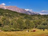 16001 Highway 133 - Photo 8