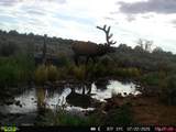 TBDWP2 County Road 106 - Photo 16