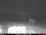 TBDWP County Road 106 - Photo 12