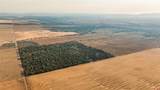 TBDWP County Road 106 - Photo 16