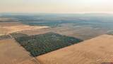 TBDWP County Road 106 - Photo 23