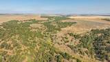 TBDWP County Road 106 - Photo 33