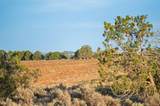 TBDWP County Road 106 - Photo 45
