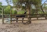 2173 & 2113 Rancho Durango Road - Photo 7