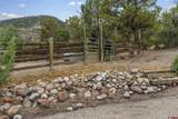 2173 & 2113 Rancho Durango Road - Photo 9