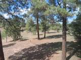 777 Buttress Avenue - Photo 39