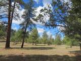 777 Buttress Avenue - Photo 40