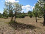 777 Buttress Avenue - Photo 41