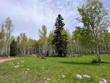 TBD Buckman Road - Photo 12