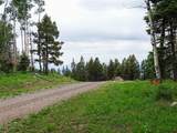 TBD Buckman Road - Photo 14