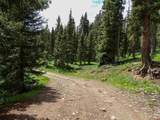 TBD Buckman Road - Photo 15