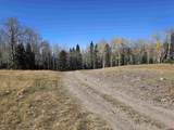 TBD Buckman Road - Photo 3