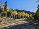 TBD Buckman Road - Photo 5