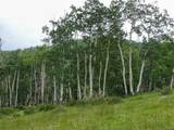 TBD Buckman Road - Photo 7