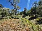 769 & 784 Bareback Lane - Photo 29
