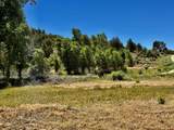 769 & 784 Bareback Lane - Photo 30