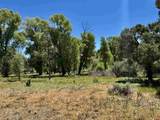 769 & 784 Bareback Lane - Photo 32