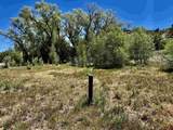 769 & 784 Bareback Lane - Photo 33