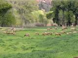26068 Highway 550 - Photo 10