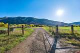 26068 Highway 550 - Photo 18
