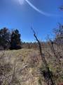 902 Roberts Ridge - Photo 10