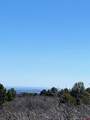 902 Roberts Ridge - Photo 11