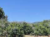 902 Roberts Ridge - Photo 4