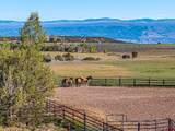 2741 7750 Road - Photo 45