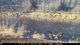 1277 Cr 501 - Photo 10