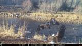 1277 Cr 501 - Photo 11