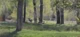 1277 Cr 501 - Photo 36