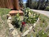 34237 Highway 550 - Photo 38