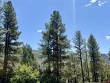 34237 Highway 550 - Photo 41