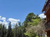 34237 Highway 550 - Photo 43