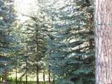 27046 Hwy 145 - Photo 24
