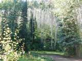 27046 Hwy 145 - Photo 27