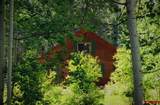 27046 Hwy 145 - Photo 34