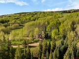 495 White Buffalo Trail - Photo 39