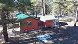 868 Nutria Circle - Photo 3