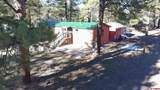 868 Nutria Circle - Photo 5
