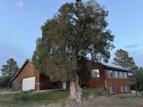 1097 D Bar K Drive - Photo 2