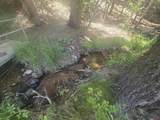 1609 County Road 500 - Photo 6