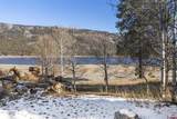 17331 County Road 501 - Photo 17