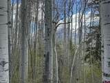 TBD Story Fork Road - Photo 23