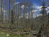 TBD Story Fork Road - Photo 24