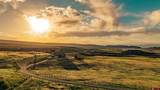 82100 92 Highway - Photo 12
