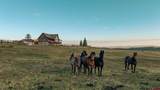 82100 92 Highway - Photo 7