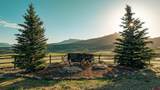 82100 92 Highway - Photo 9