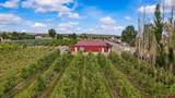 20813 Nowhere Road - Photo 40