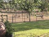 27701 Bb Road - Photo 25